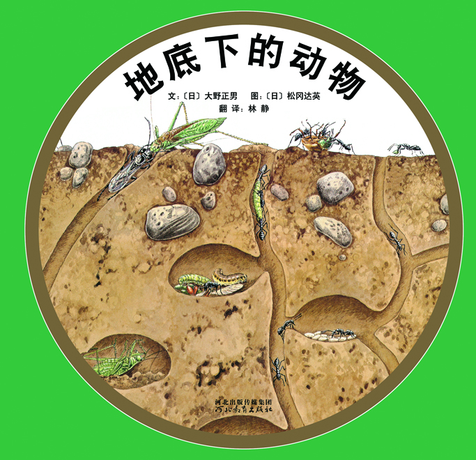 地底下的动物 (01),绘本,绘本故事,绘本阅读,故事书,童书,图画书,课外阅读